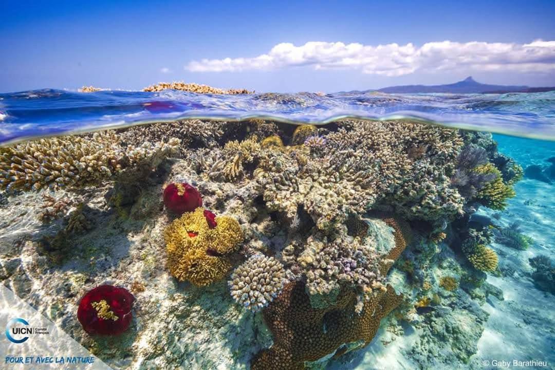 ホテル Le Chissioua Sada エクステリア 写真